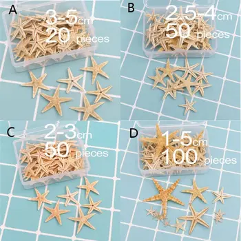 1 Doboz Natúr tengeri Csillag Kagyló Strand Kézműves Természetes Tengeri Csillagok DIY Beach Esküvői Dekoráció Epoxi Gyanta Művészeti Crafts1-5cm