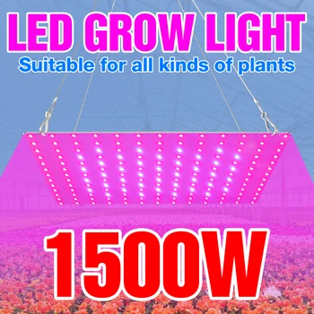 1500W Kvantum-Testület Növény Fény Nő LED Izzó Teljes Spektrumú Növény Lámpa 1000W LED Fitolamp Beltéri Virágok, Palánták növekedése Doboz