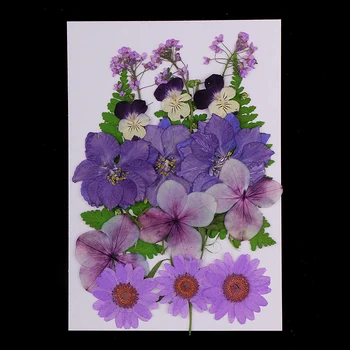 Több Mix Természetes Préselt, Szárított Virágok, Levelek DIY Art Kézműves scarpbooking üdvözlőlap készítése dekoráció 2.5-3.5 cm