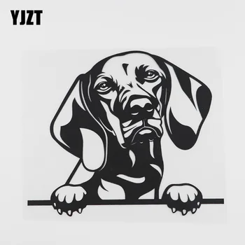 YJZT 17.5CMX15CM Vicces Vizsla Kutya Less Vinyl Matrica Autó Matrica Fekete/Ezüst 8A-0094